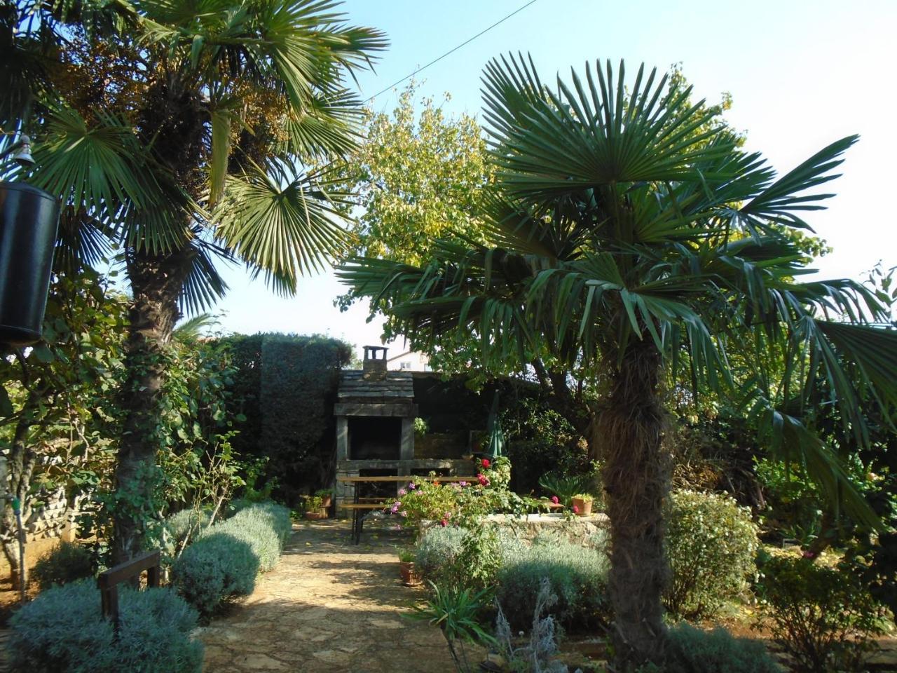 Novigrad Istria Villa Maria מראה חיצוני תמונה