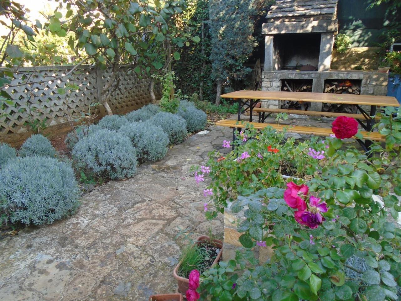 Novigrad Istria Villa Maria מראה חיצוני תמונה