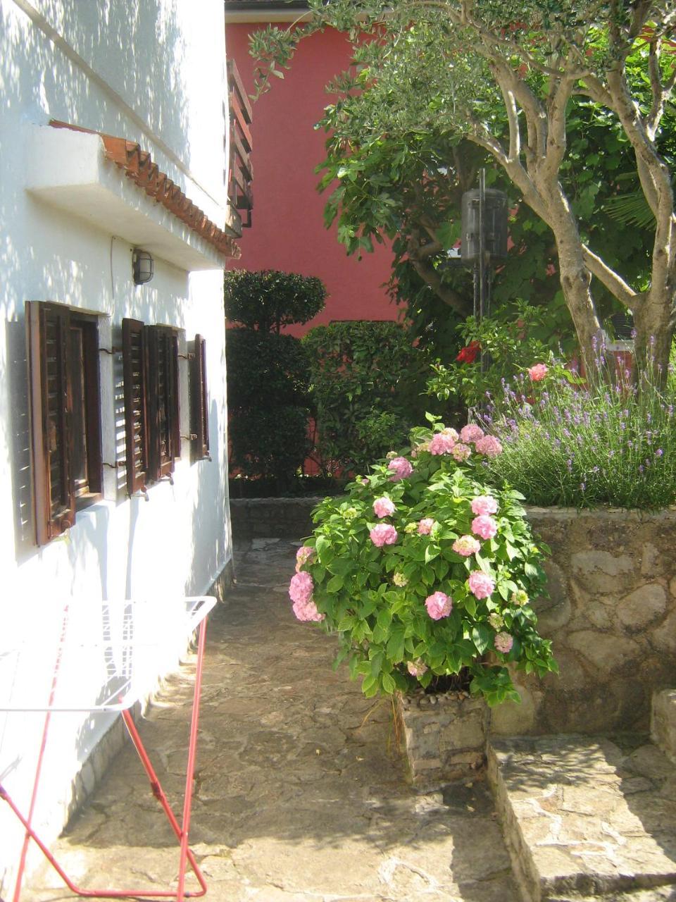 Novigrad Istria Villa Maria מראה חיצוני תמונה