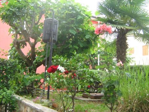 Novigrad Istria Villa Maria מראה חיצוני תמונה